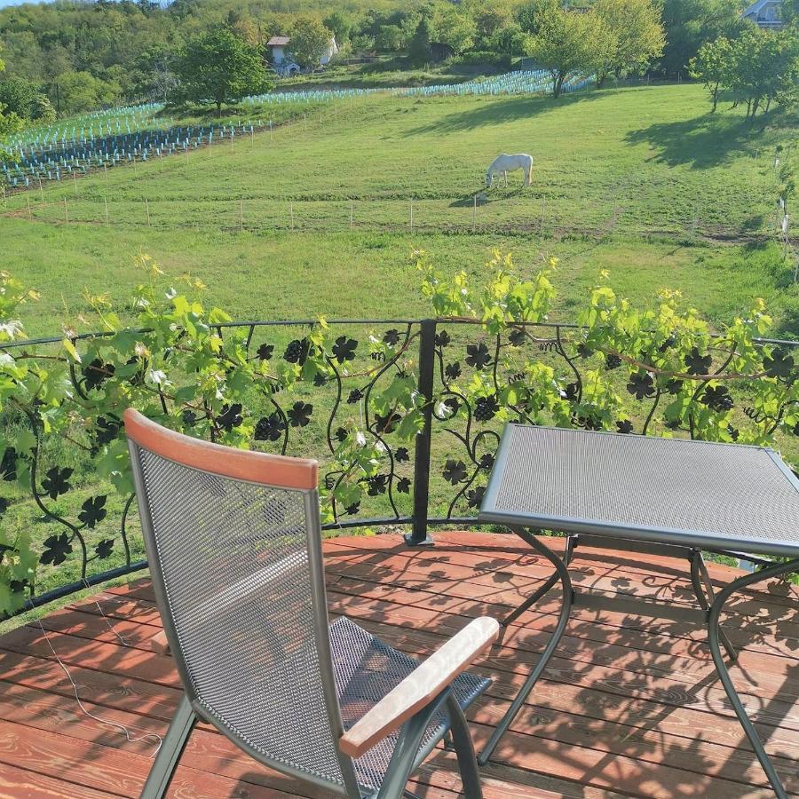 Villa Izabella Badacsonytördemic Esterno foto
