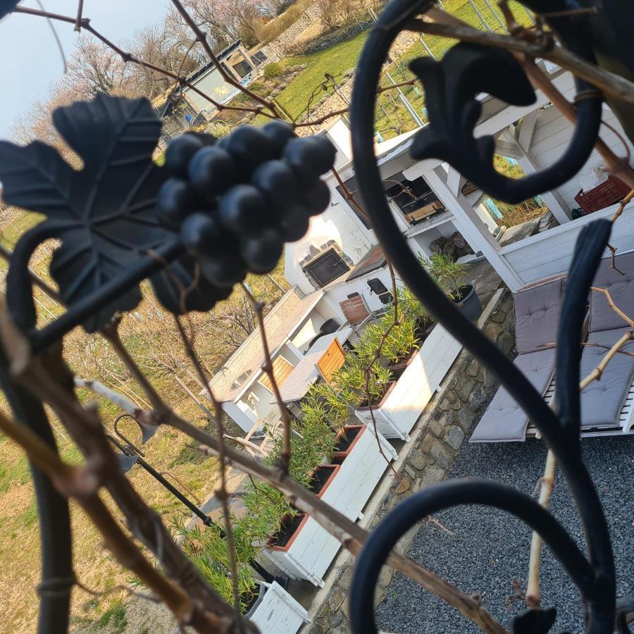 Villa Izabella Badacsonytördemic Esterno foto
