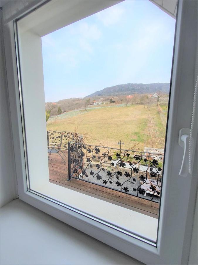 Villa Izabella Badacsonytördemic Esterno foto