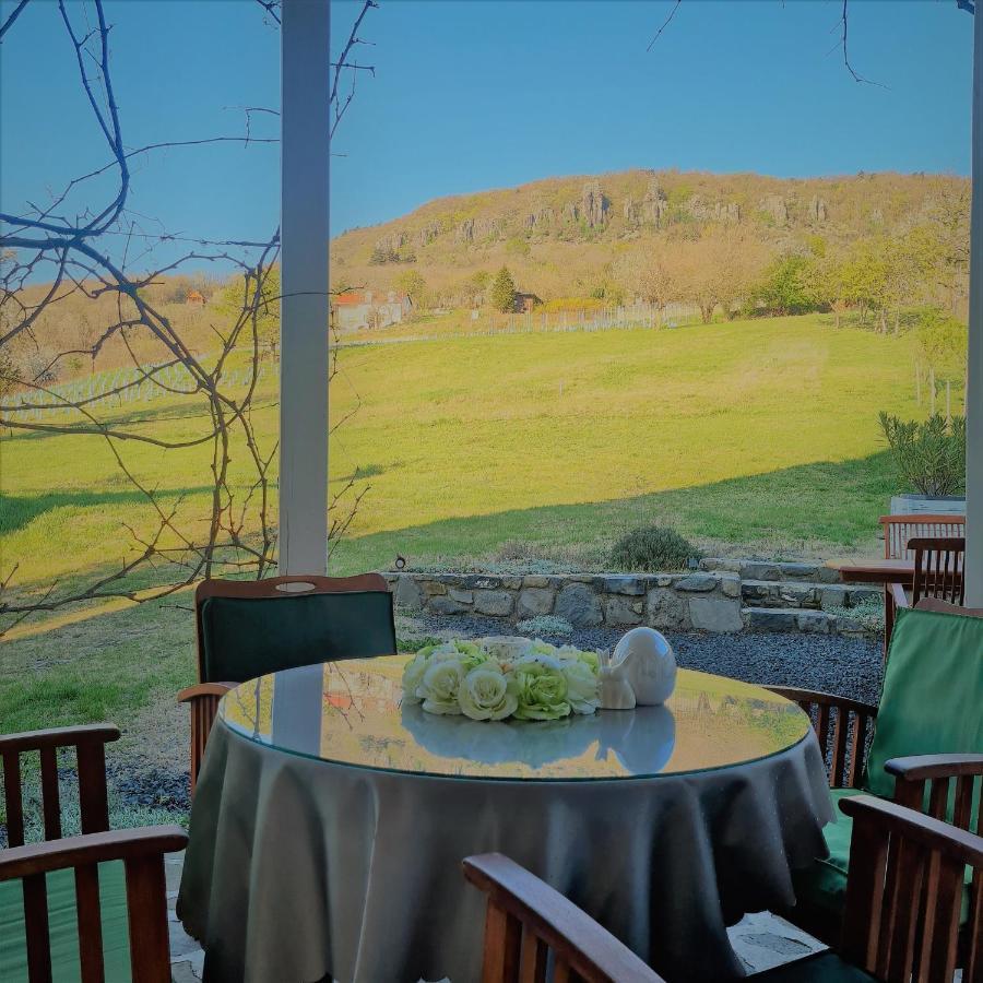 Villa Izabella Badacsonytördemic Esterno foto