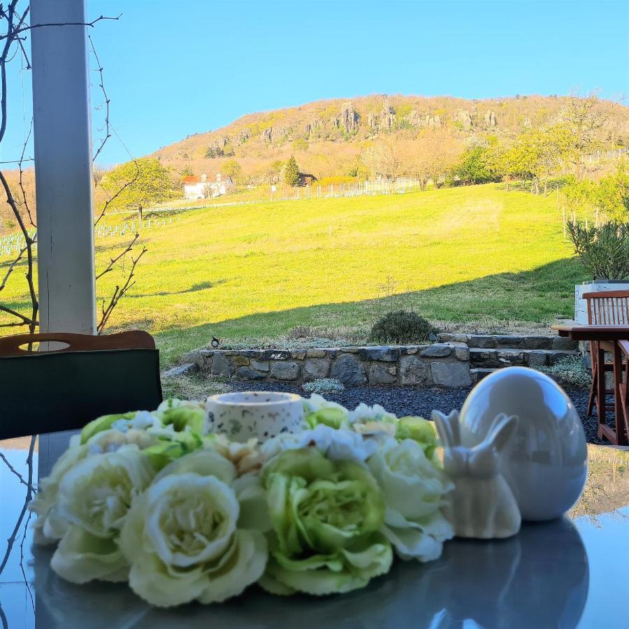 Villa Izabella Badacsonytördemic Esterno foto