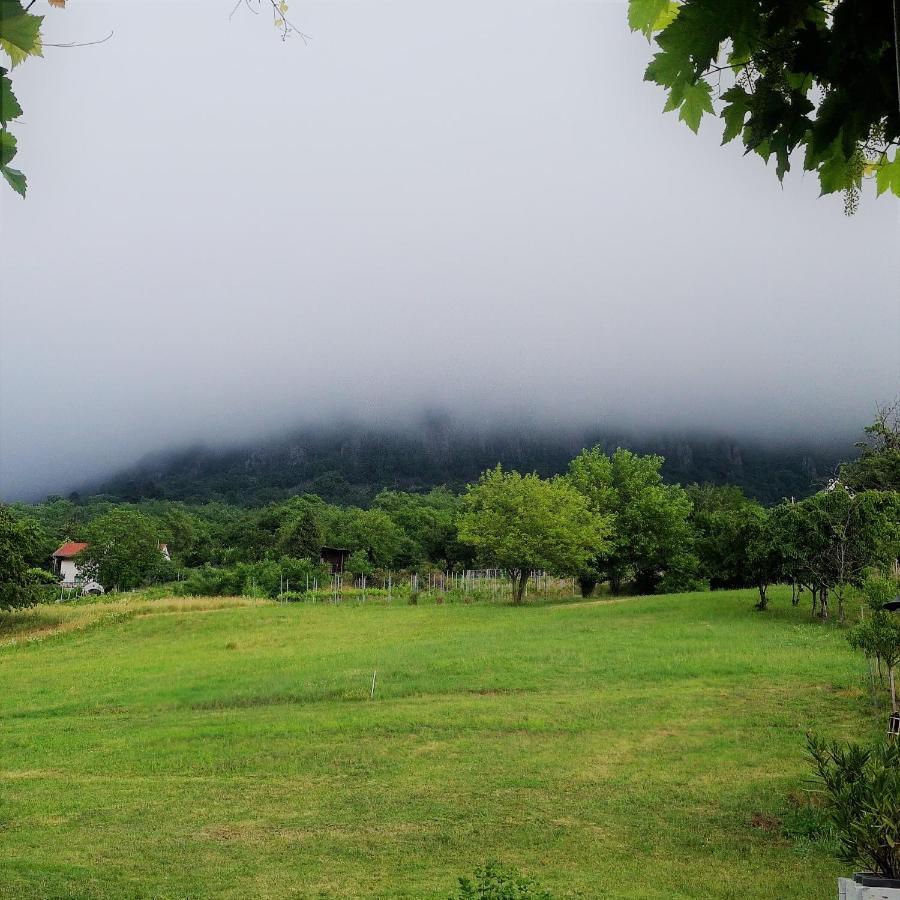 Villa Izabella Badacsonytördemic Esterno foto